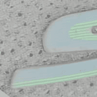 Skechers Women's GO RUN CONSISTENT - Vivid Horizon Lace-Up Running Sneaker (Wide Width Available)